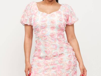 Mesh Inside Lining Flower Detail Mini Dress
